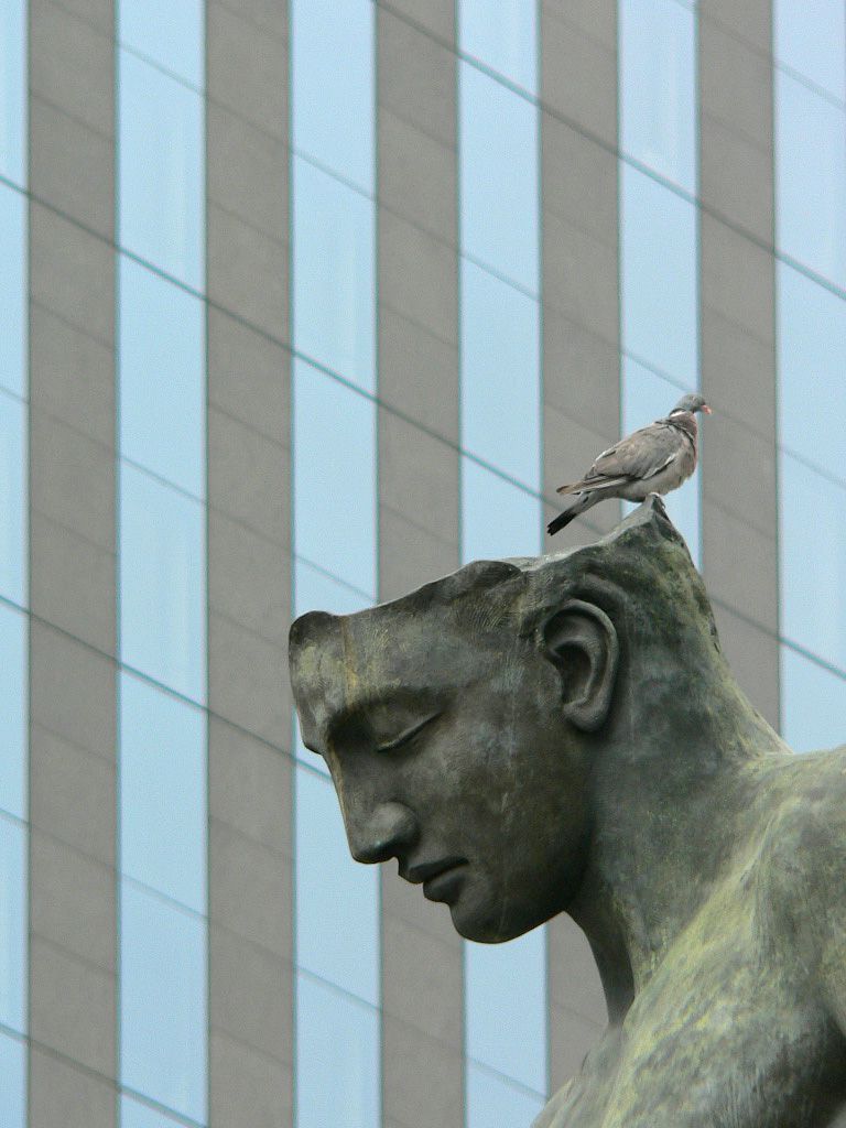 これはサンプル画像です。 これはサンプル画像です。