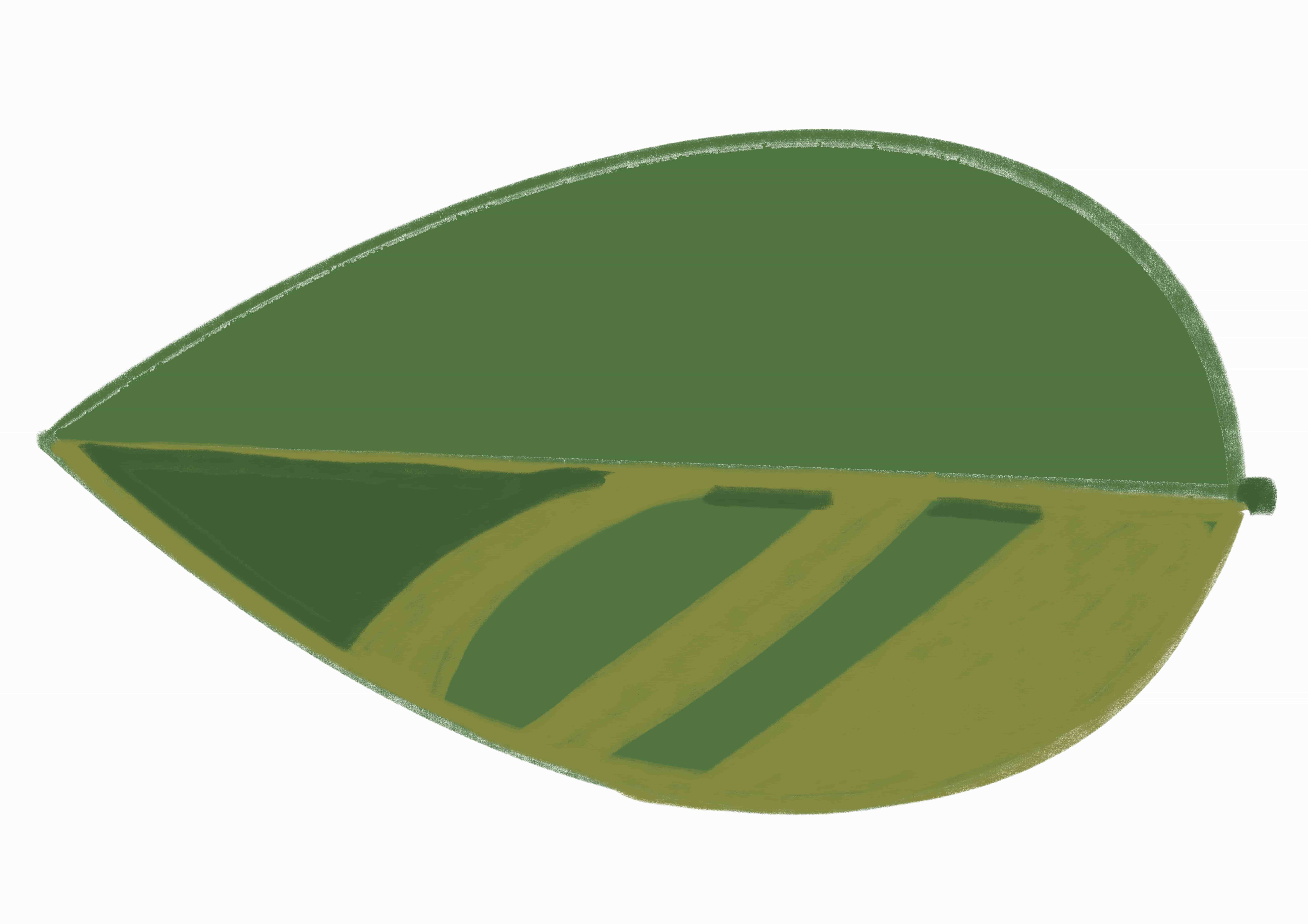 happa_02.jpg happa_02.jpg