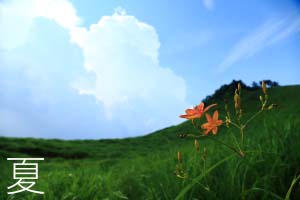 夏.jpg